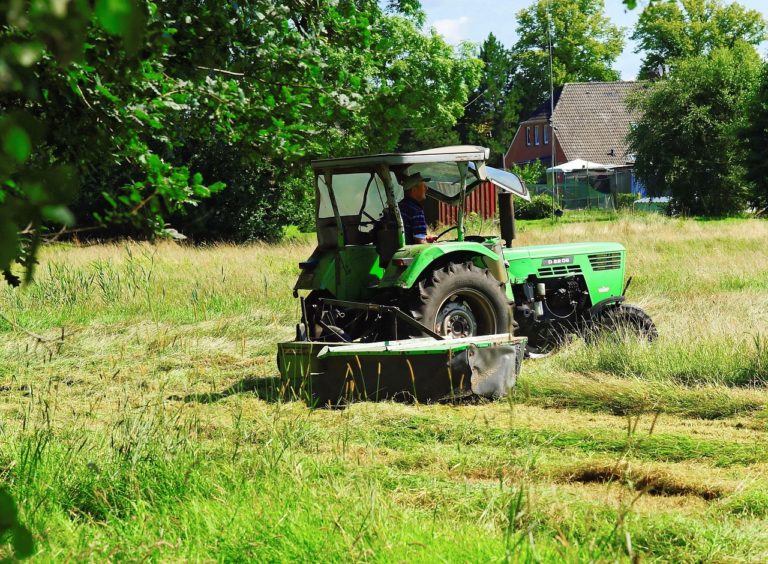 hay, mow, rural-1549982.jpg