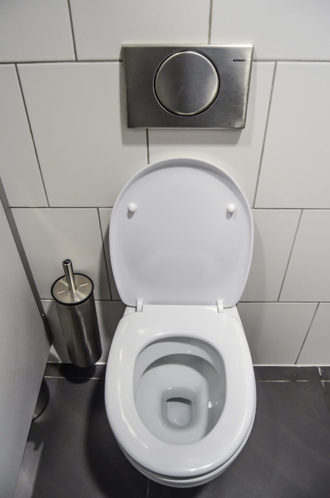 toilets, toilet, purely-265278.jpg