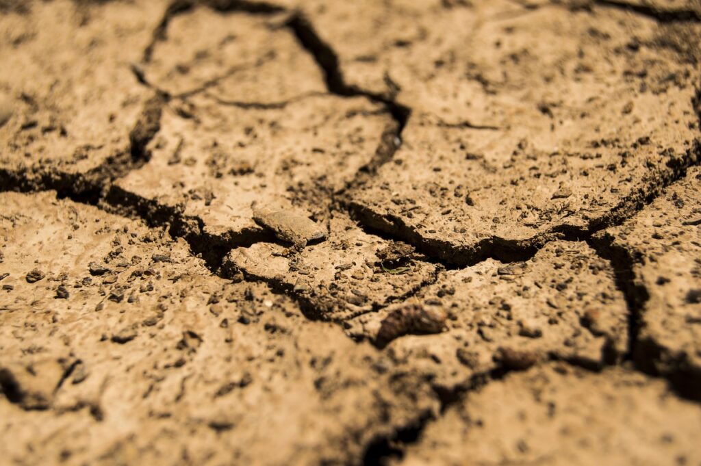 drought, aridity, dry-780088.jpg